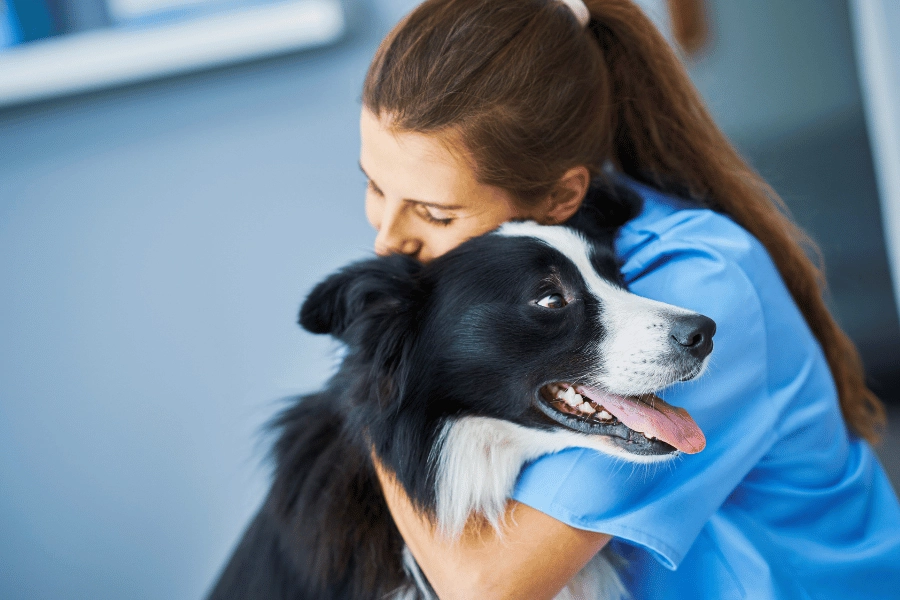 veterinarian hugging a cute and fluffy black and white dog 